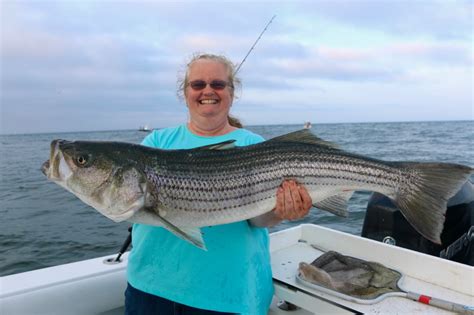 Fishing Charters Fishing Guides Cape Cod Massachusetts Striped Bass