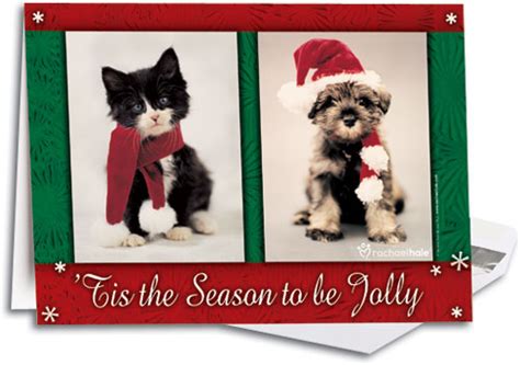 Jolly Pets Deluxe Folding Card SmartPractice Veterinary