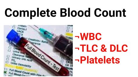 Full Blood Count Wbcs Tlc Dlc Leukocytes Platelets Part 2 Youtube