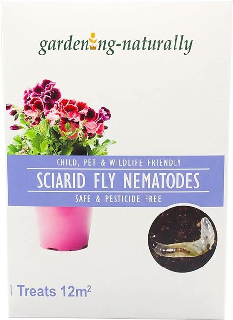 Sciarid Fly Nematodes Fungus Gnat Compost Fly Organic Natural Killer