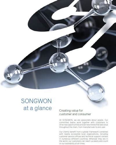 Songwon Industrial Group Company
