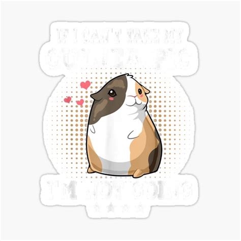If I Cant Take My Guinea Pig Im Not Going Guinea Pig Lover Sticker