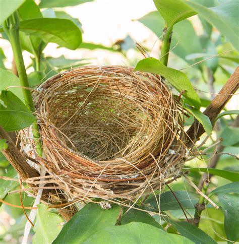 Tough Questions — Navigating Marriage With An Empty Nest Ms Christian