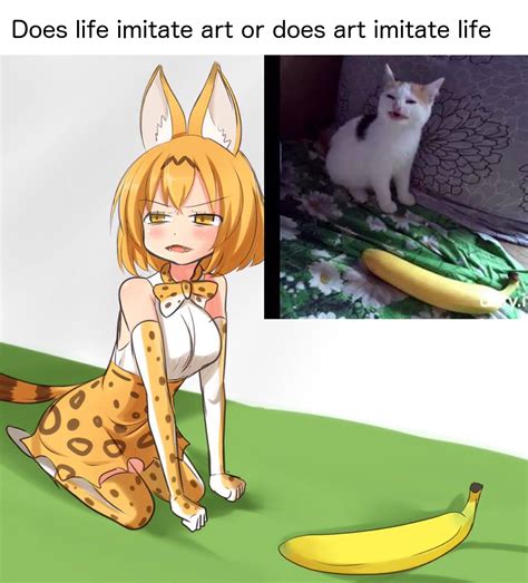 Banana Cat Meme Vlr Eng Br