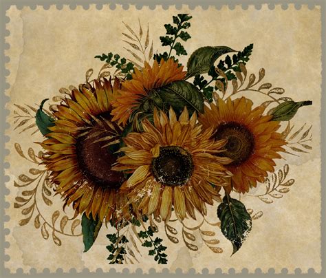 Vintage Sunflower Stamp Free Stock Photo Public Domain Pictures