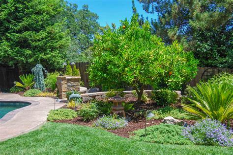 Roseville Front Yard Executive Care Inc