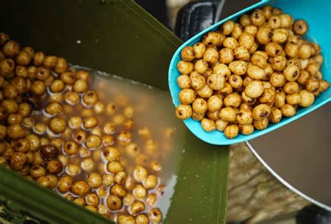 How To Prepare Tiger Nuts For Carp Fishing Tiger Hookbait