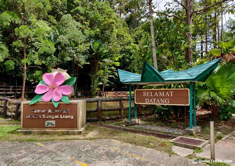Sungai tekala forest park, attractions in semenyih, attractions in selangor, things to do in malaysia, gowhere.my, whats's on malaysia, gowhere malaysia. Walking Through Nature At Sungai Liang Forest Recreation Park