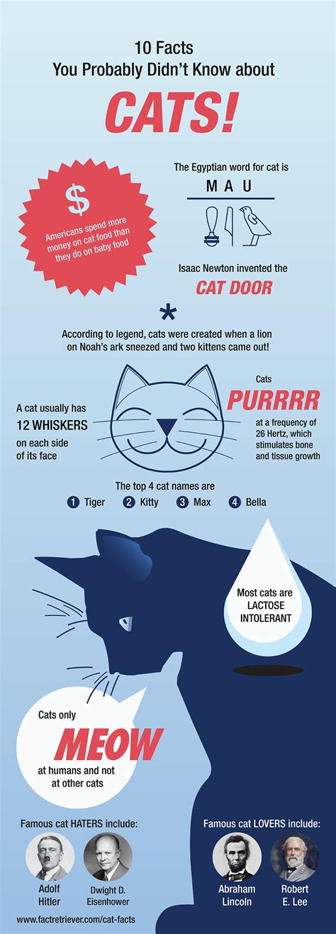 104 Interesting Facts About Cats แมว การสอน