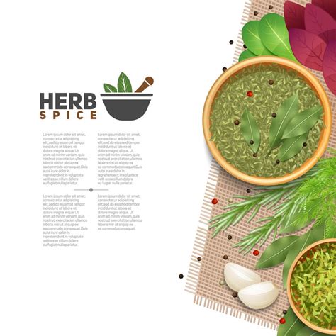 Herbs Spices Food Seasoning Information Poster 484919 Vector Art At