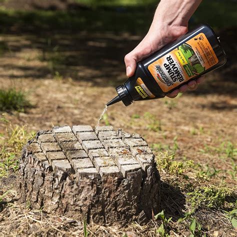 How To Rot A Tree Stump Fast With Epsom Salt Taina Davies