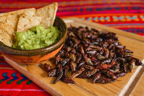 Insectos Comestibles Los Alimentos Milenarios De La Dieta Mexicana