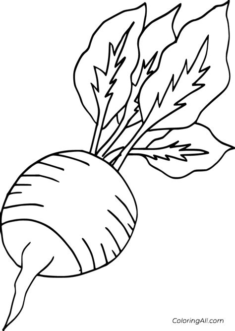 The 2020 spring update introduced 11 different subtypes with various durations: 8 free printable Radish coloring pages in vector format ...