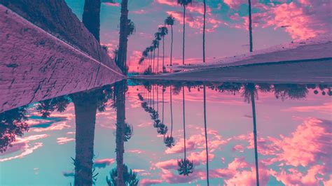Palm Trees Reflection Sky 4k Hd Nature Wallpapers Hd Wallpapers Id
