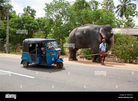 Rickshaw Of Sri Lanka Hi Res Stock Photography And Images Alamy