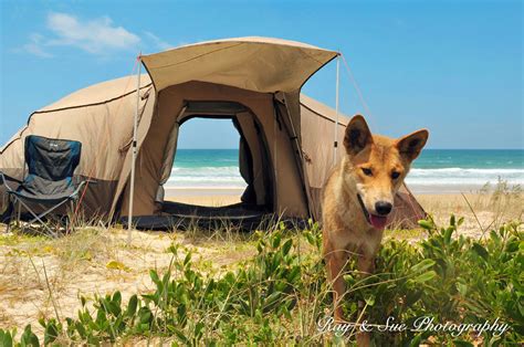 Camping On Fraser Island Travel Photography