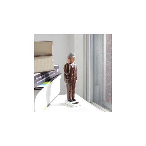 Figurine Solaire Einstein Kikkerland à Prix Carrefour