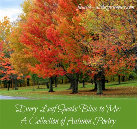 Every Leaf Speaks Bliss To Me A Collection Of Autumn Poetry