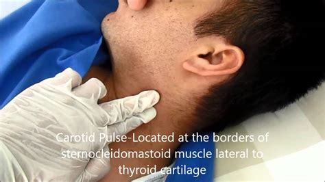 Locating Pulse Temporal Carotid Facial And Apical Pulse Page 3 Of 3