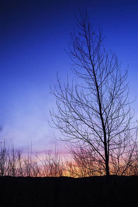 Beautiful Sunrise In Boise Idaho Usa Photograph By Vishwanath Bhat Pixels