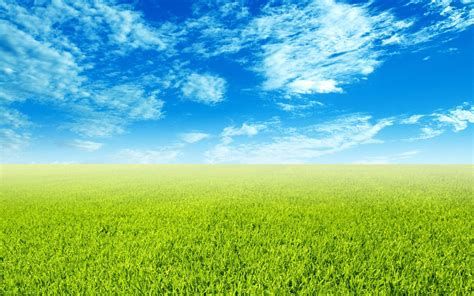 Green Field Wallpapers Top Free Green Field Backgrounds Wallpaperaccess
