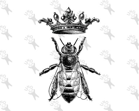 Vintage Image Queen Bee Crown Instant Download Retro Drawing Bee Old