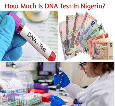 How Much Is Dna Test In Nigeria Public Health