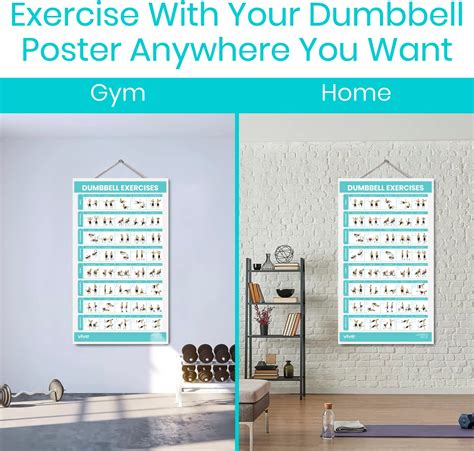 Vive Dumbbell Workout Poster Home Gym Exercise For Canada Ubuy