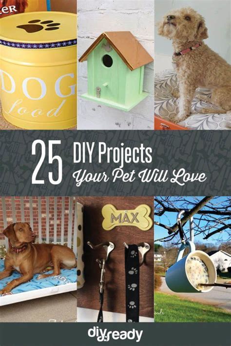 15 Easy And Simple Diy Pet Projects Diy Dog Toys Animal Projects