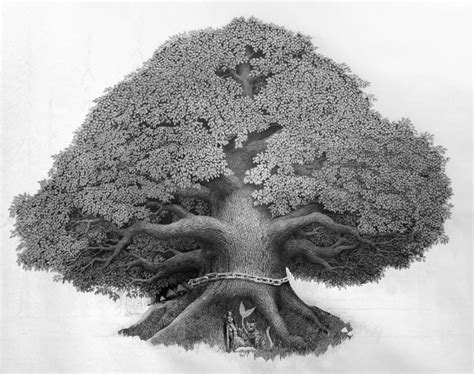 Дерево Фото Рисунок Карандашом Telegraph