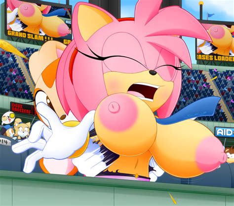 Rule 34 2d Amy Rose Anthro Assisted Exposure Being Watched Big