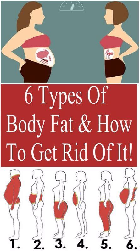 6 Types Of Body Fat And How To Get Rid Of It Health Blog