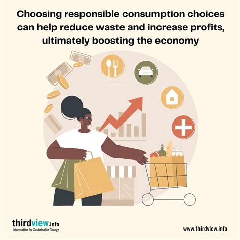 Understanding The Economics Of Responsible Consumption Thirdview