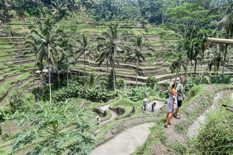 Tegalalang Rice Terrace In Ubud A Complete Guide Bali Itinerary Bali Backpacking Bali Travel