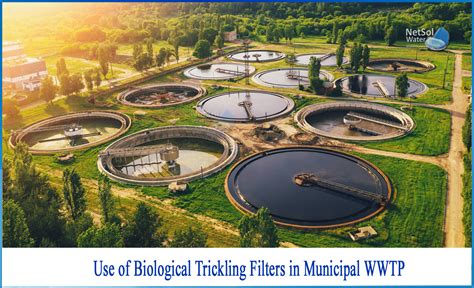 What Is The Use Of Biological Trickling Filters In Municipal Wwtp
