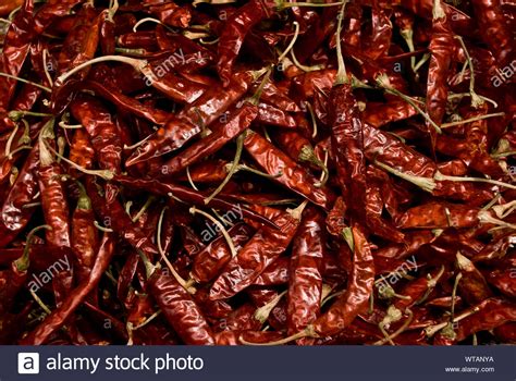 Dry Red Chilli Peppers Stock Photo Alamy