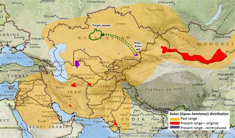 Kazakh Steppe Map