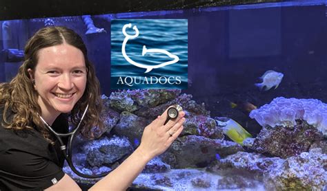 Dive Deep Into Aquatic Veterinary Medicine │ Aquadocs Doobert Live