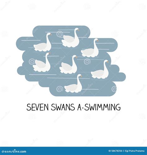 12 Day Of Christmas Seven Swans Swimming Stock Illustration Image