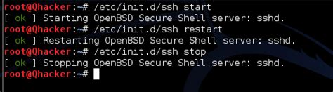 To permanently enable the ssh service, use this command. How to Enable SSH on Kali Linux and Access by Windows 10 ...