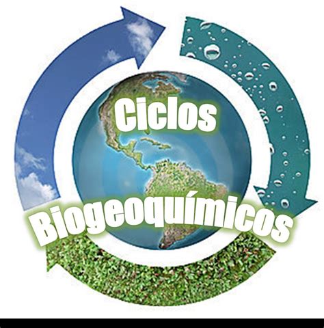 Lista De Química Sobre Ciclos Biogeoquímicos