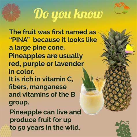 Discover Fascinating Facts About Pineapples