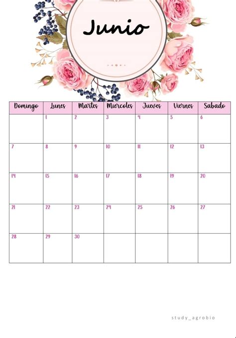 Planner Mensual Junio 2020 Ideas De Calendario Calendarios Bonitos