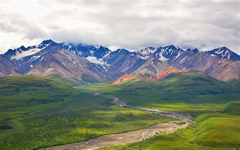 Denali National Park And Preserve Alaska Wildlife Hiking Trails
