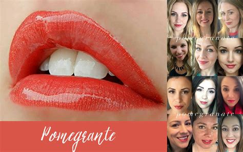Pomegranate Shimmer Long Lasting Lip Color Anti Aging Skin Care