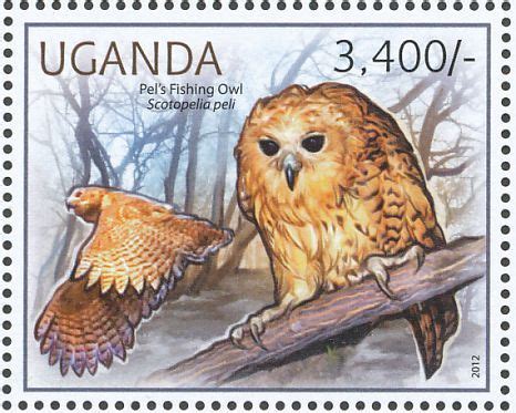 Sad news, hooked up the series s to a 1440p 144hz monitor that has hdmi 2.0 and sadly its only 1080p at 120hz or 1440p at 60hz. Pel's Fishing Owl stamps - mainly images - gallery format ...