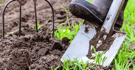 There's a gardener in everyone just waiting to sprout. 10 Ideas To Get Your Garden Ready for Spring | Love The Garden
