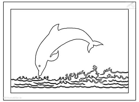 100 bilder delfin zum ausmalen für kinder. Pin auf Delfine