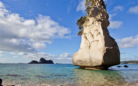 Cathedral Cove New Zealand Hd Wallpaper