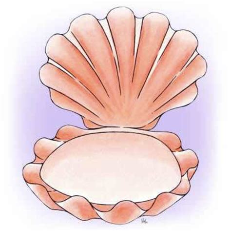 Clam Shell Clipart Open Clam Shell Clipart Clip Art Library My Xxx Hot Girl